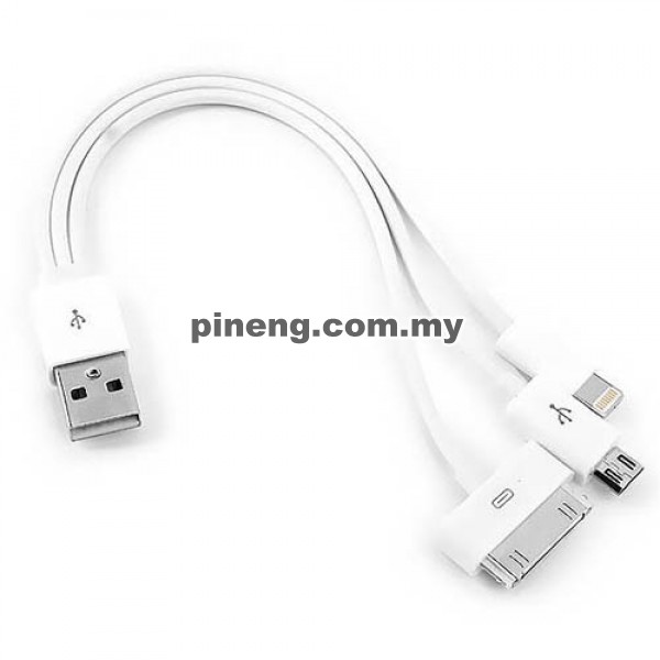 3 In 1 Charging Cable (Lightning / 30 Pi...